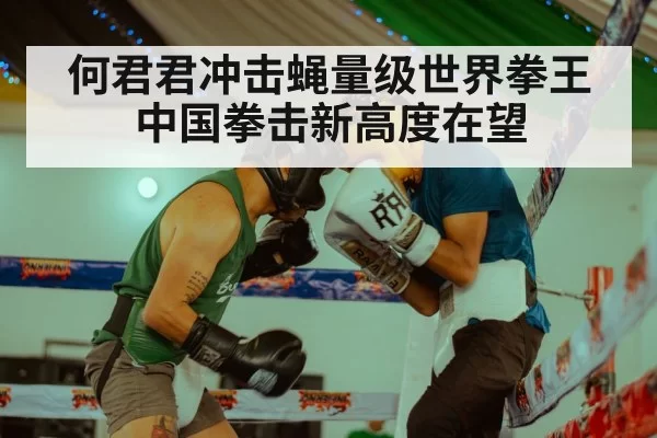 何君君冲击蝇量级世界拳王 中国拳击新高度在望
