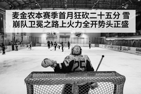 hockey arena action
