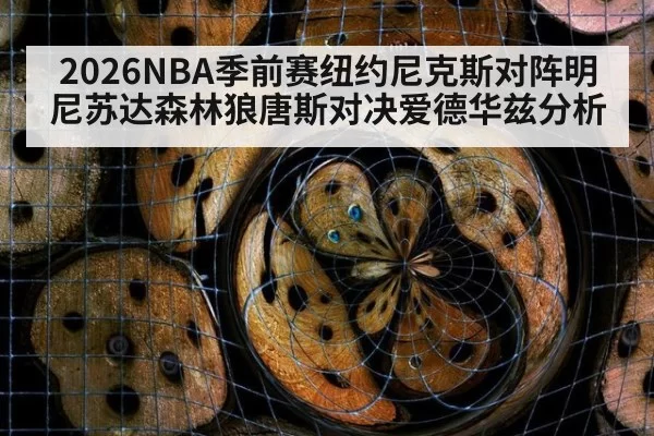 2026NBA季前赛纽约尼克斯对阵明尼苏达森林狼唐斯对决爱德华兹分析